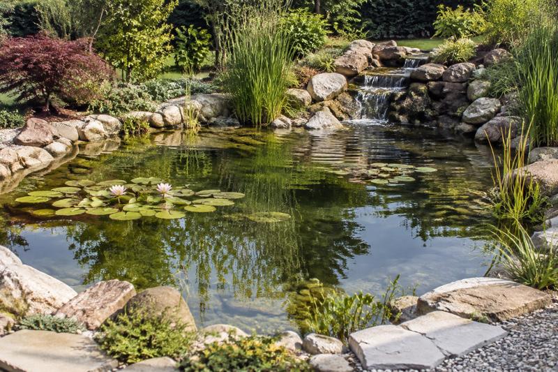 Bassin de jardin