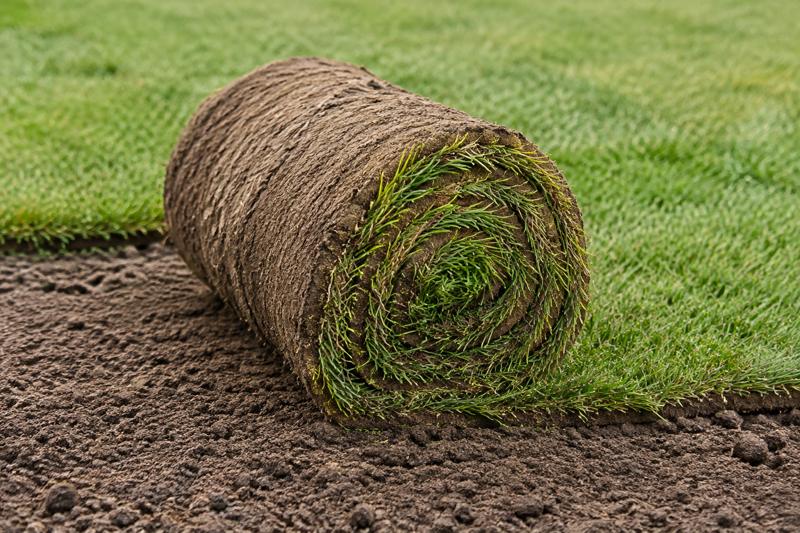 Gazon en rouleaux