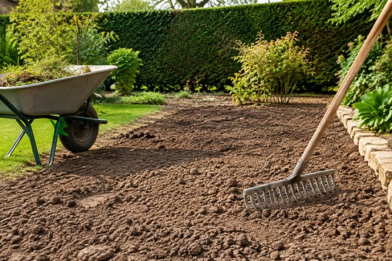 Remise en état jardin