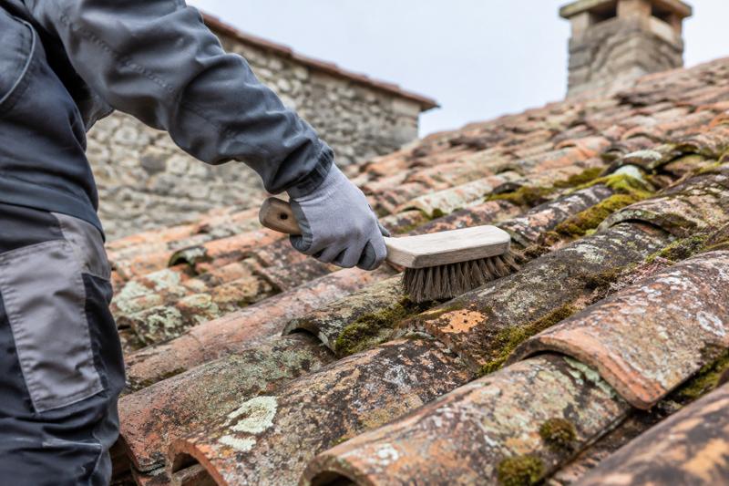Entretien toiture ancienne